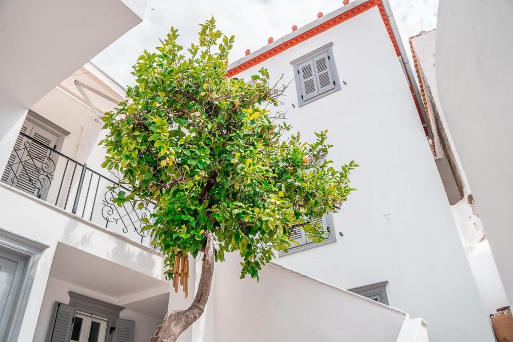 Lemon Tree - Hydra Dream Houses Exterior foto